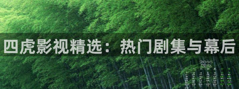 飞马影院app：四虎影视精选：热门剧集与幕后