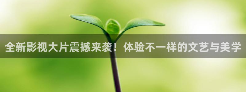 飞马影院下载：全新影视大片震撼来袭！体验不一样的文艺与美学