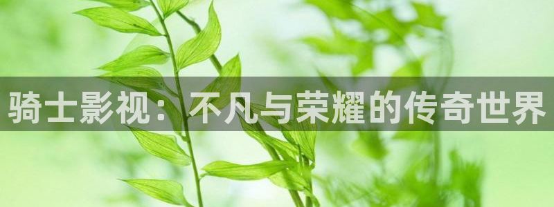 飞马影视：骑士影视：不凡与荣耀的传奇世界