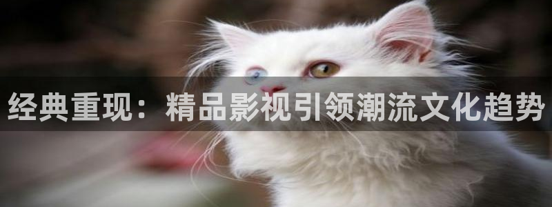 飞马影视电影：经典重现：精品影视引领潮流文化趋势
