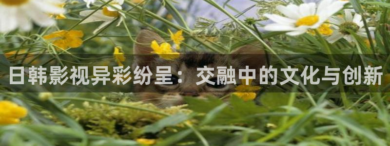 飞马影院在线观看：日韩影视异彩纷呈：交融中的文化与创新