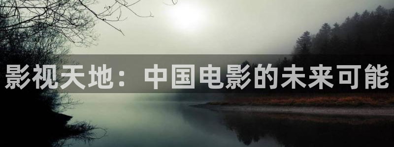 飞马良子影视有限公司：影视天地：中国电影的未来可能