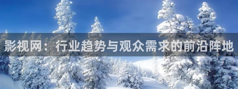 飞马影视：影视网：行业趋势与观众需求的前沿阵地